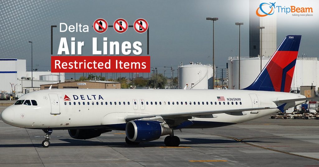 All You Need To Know About Delta Air Lines Restricted Items - Tripbeam.ca