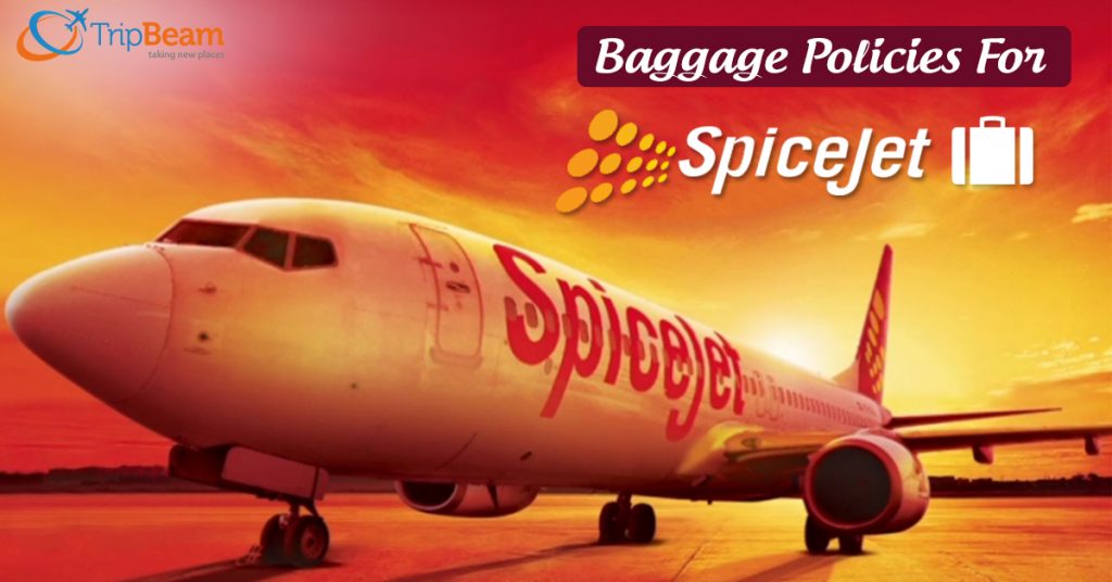 Services and Baggage Policy for SpiceJet - Tripbeam Canada