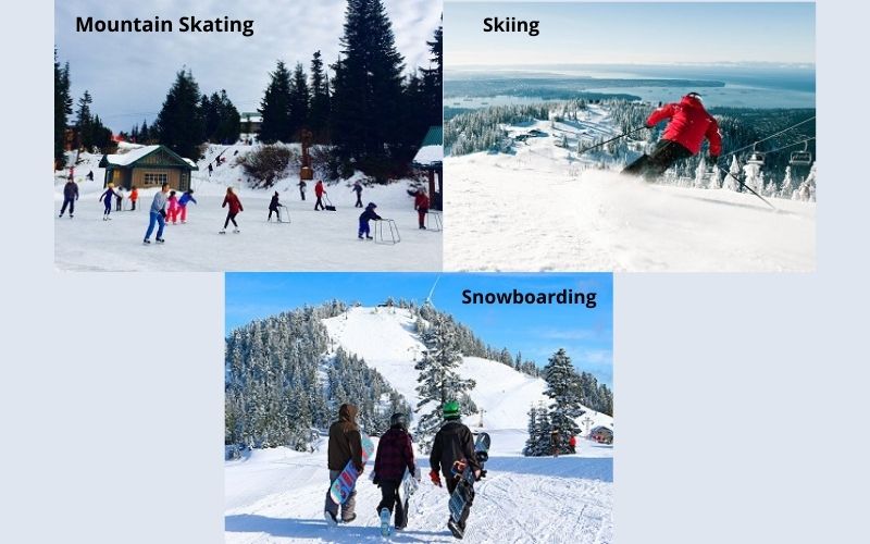 Skiing, Mountain Skating, and Snowboarding