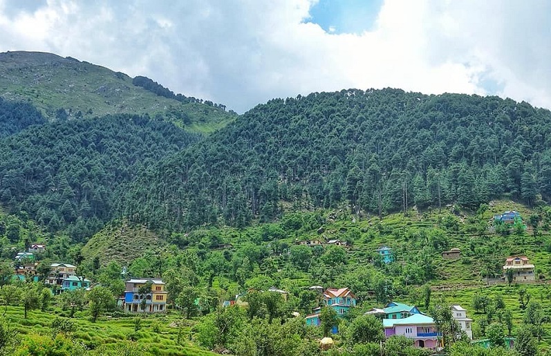 Kathua