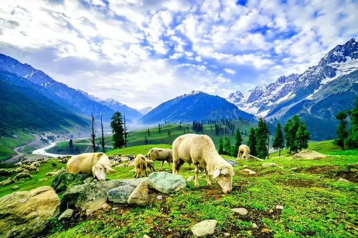 Kashmir - Paradise on Earth