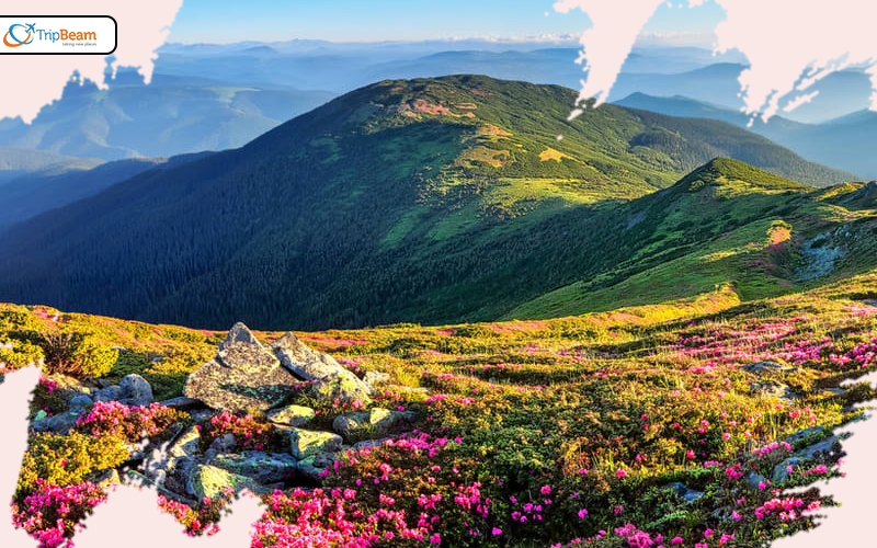 Valley of Flowers Uttrakhand