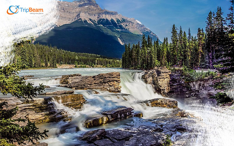 Athabasca Falls