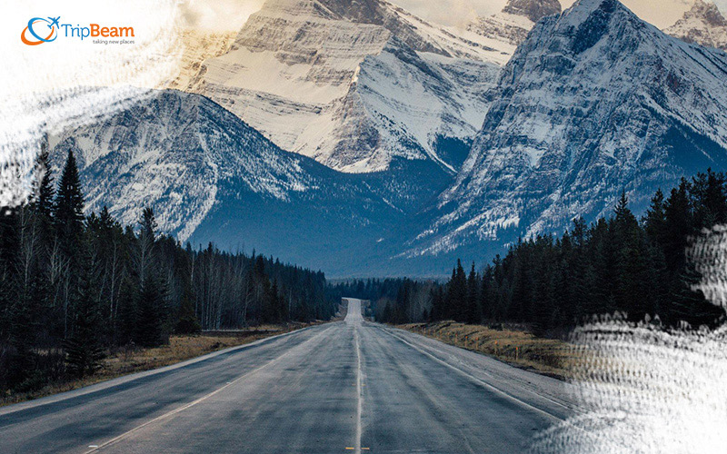 Icefield Parkway