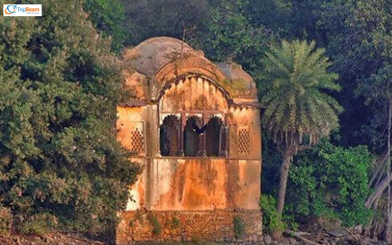 Raj Bagh Ruins