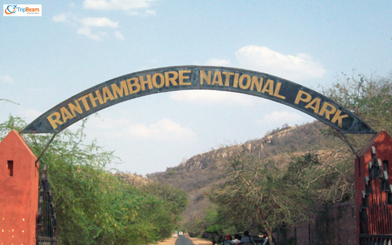 Ranthambore National Park