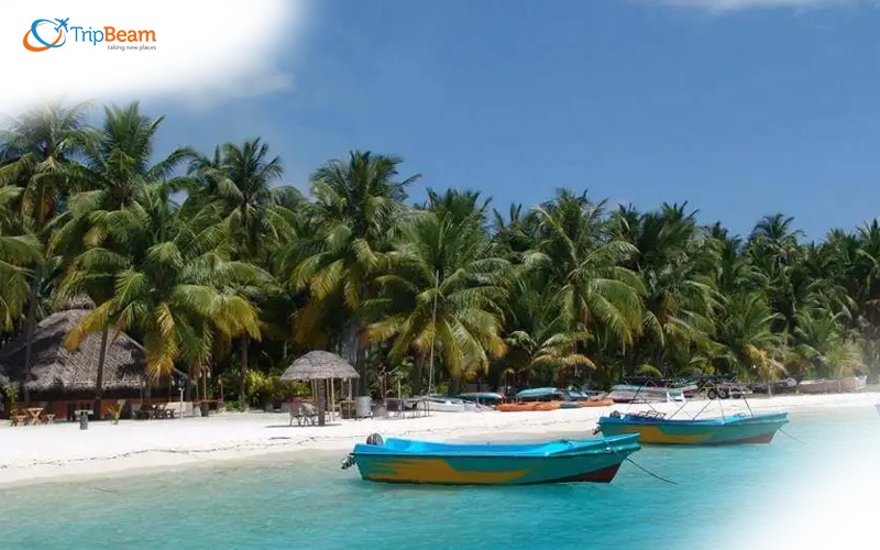 Bangaram Island Lakshadweep