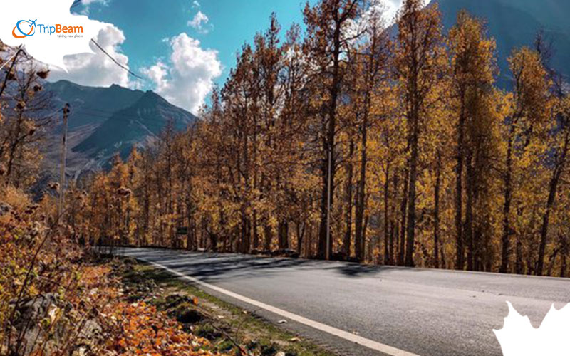 Kullu The Great Himalayan National Park