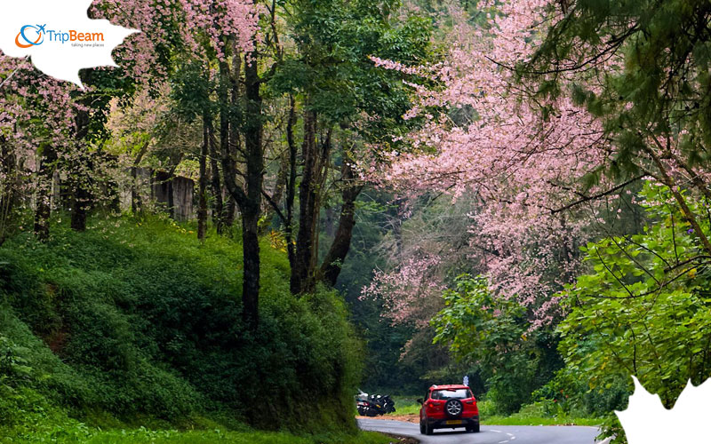 Meghalaya