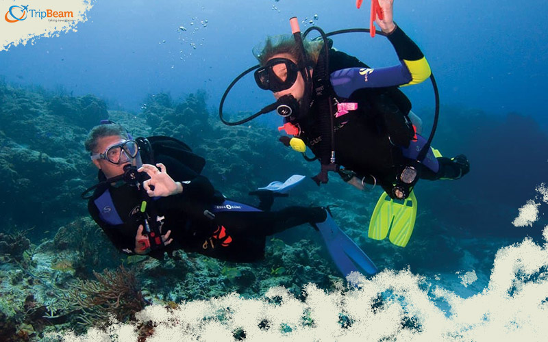 Scuba diving in Andaman