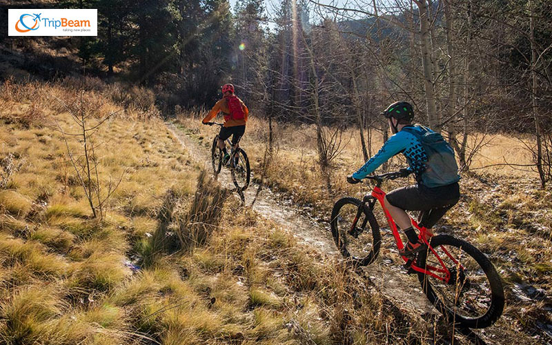 A perfect setting for Mountain Biking