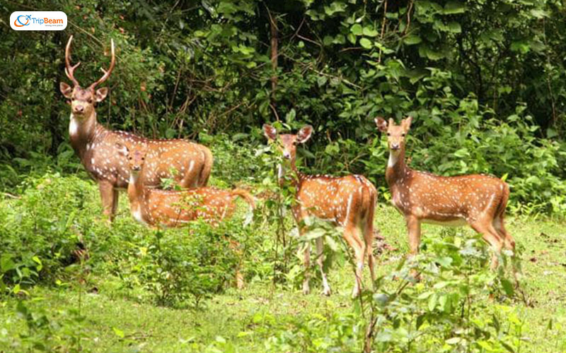 Ballavpur Danga West Bengal