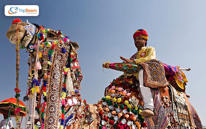 Pushkar fair