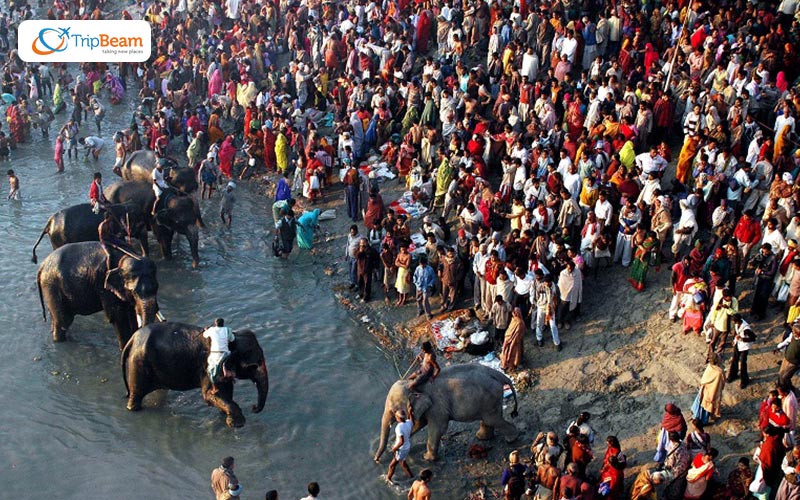 Sonepur Mela