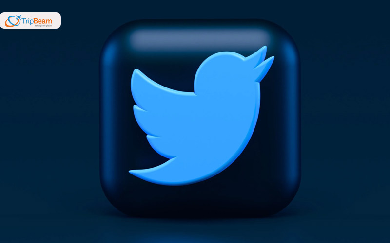 Utilize Twitter's significant control