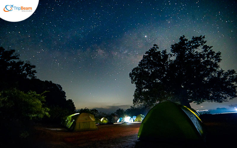 Camping beneath the luminous stars