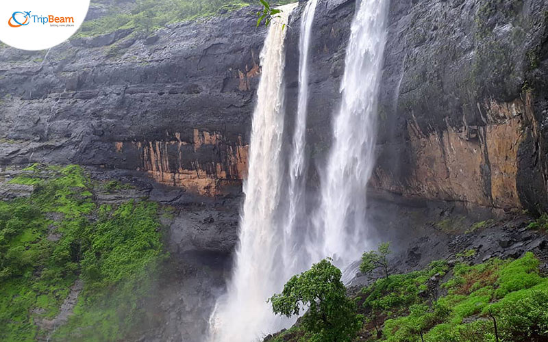 Glimpses of Captivating Waterfalls