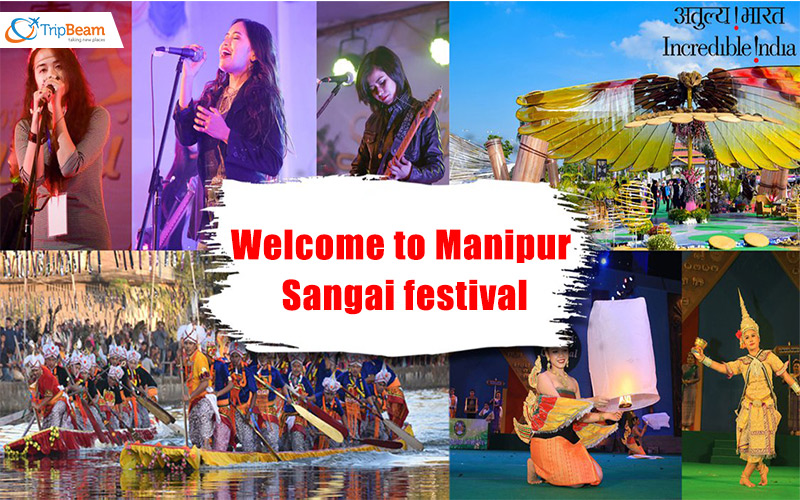 Catch the captivating Glimpses of Manipur Sangai Festival 2022 ...