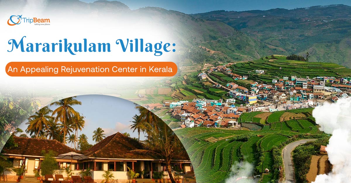 Mararikulam Village: An Appealing Rejuvenation Center in Kerala