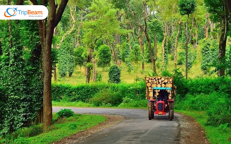 Coorg