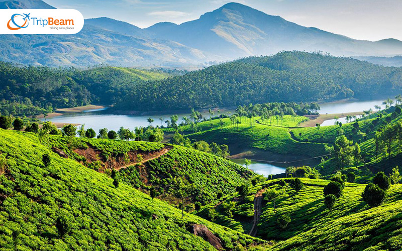 Munnar