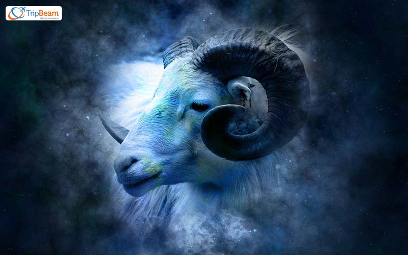 Aries (March 21 – April 19)