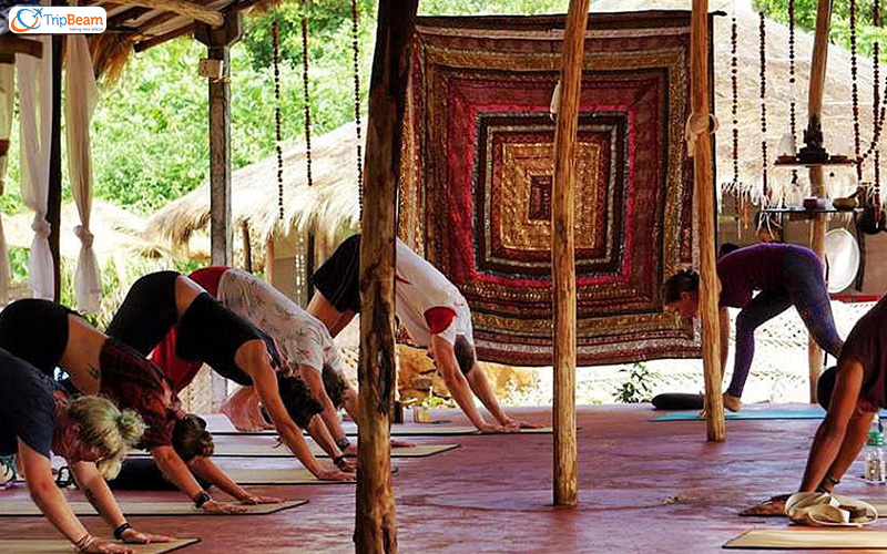 Renew Yourself With These Leading Yoga Retreats In India - Tripbeam CA