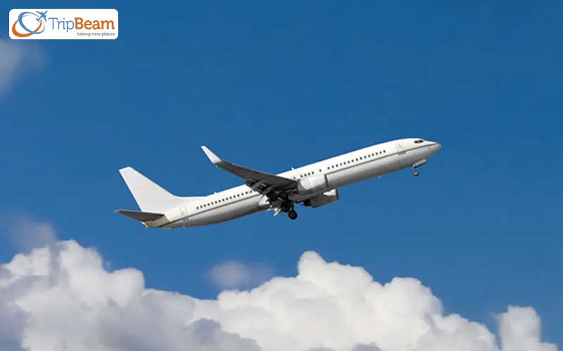 Check and compare prices on all flight travel websites