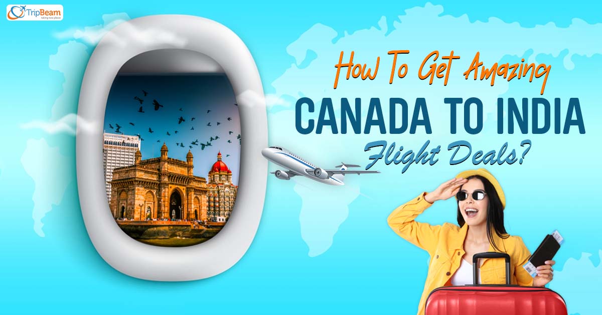 How To Get Amazing Canada To India Flight Deals?