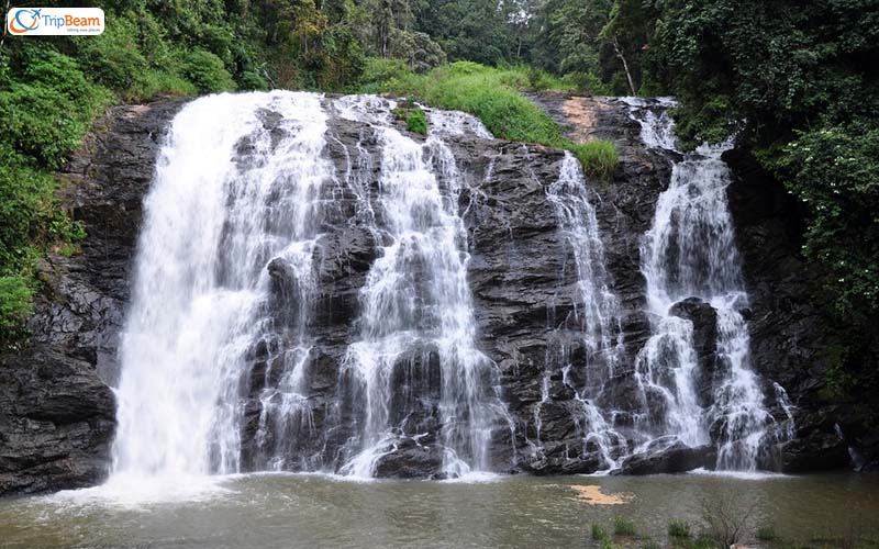 Kodagu