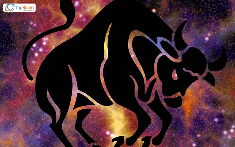 Taurus (April 20 – May 20)