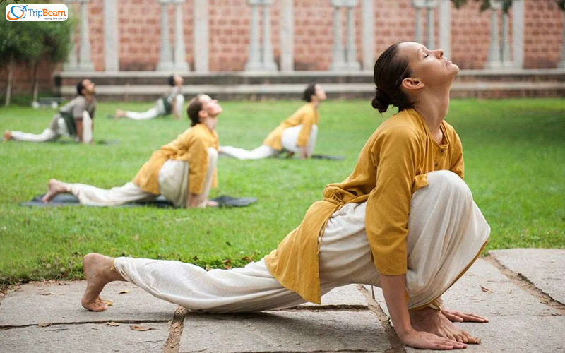 The Isha Yoga Center Tamil Nadu