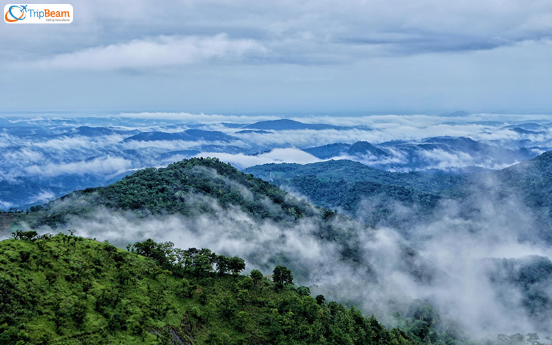 Wayanad – Kerala