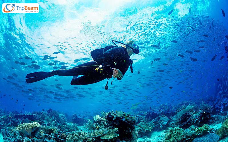 Explore the Depths of Water through Scuba Diving