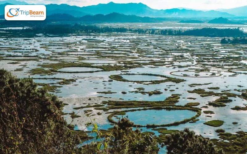 Keibul Lamjao National Park Manipur - Off-the-Beaten-Track Destinations