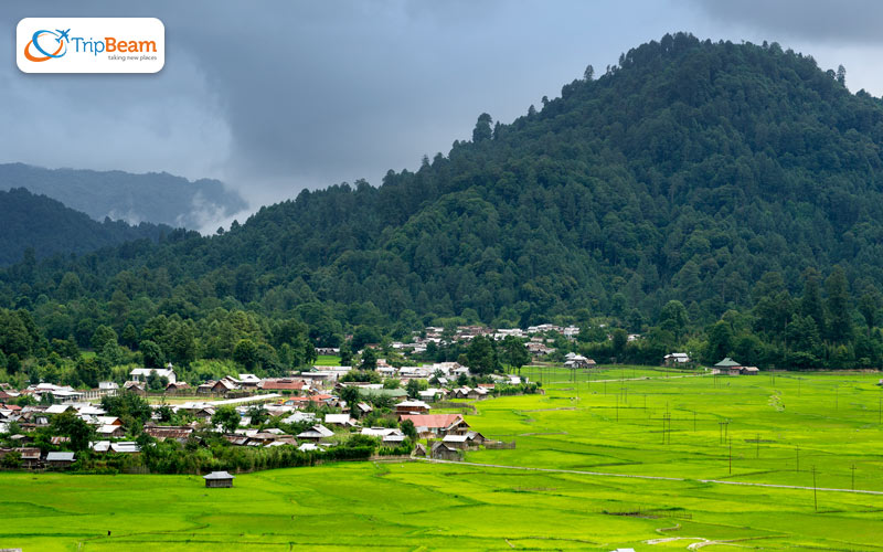 Ziro Arunachal Pradesh