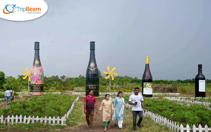 Sula Vineyards Nashik