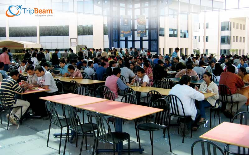 Cafeterias and Canteens