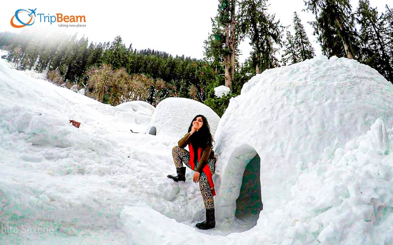 Rent an Igloo in Manali