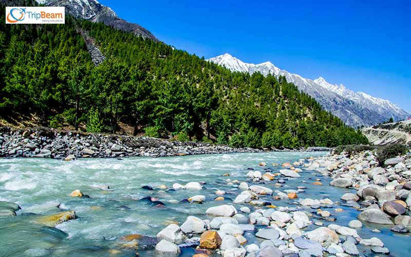 Chitkul