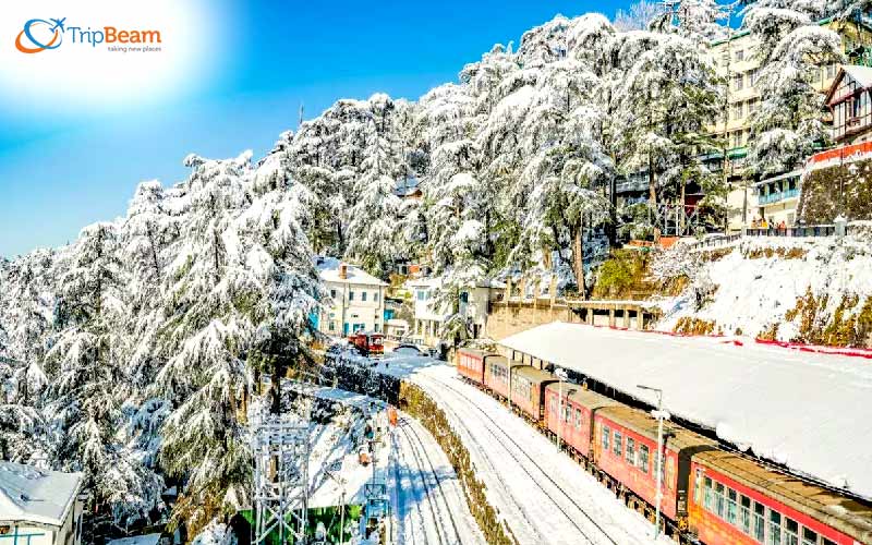 Shimla