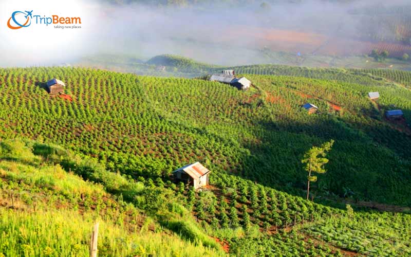 Araku Valley