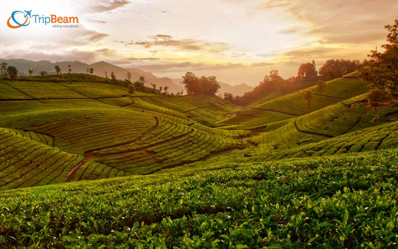 Chikmagalur