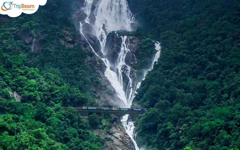 Dudhsagar Falls Goa