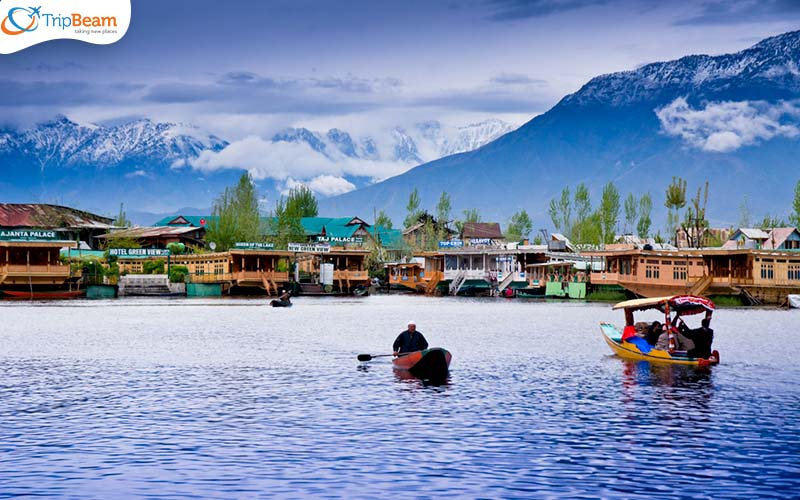 Kashmir