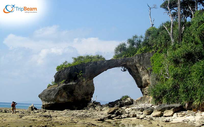 Neil Island Andaman and Nicobar Islands