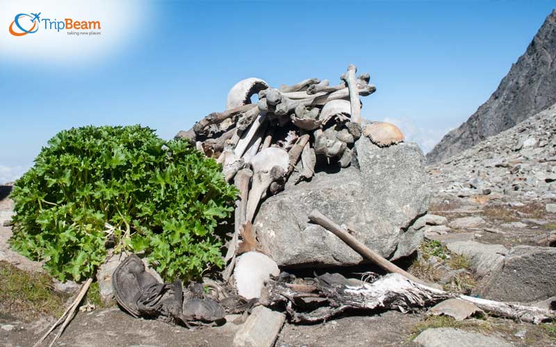 Roopkund Uttarakhand