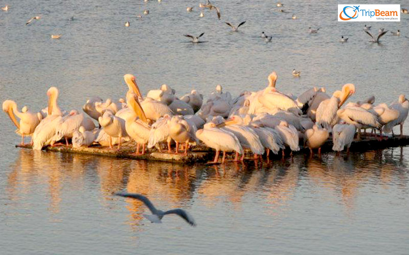 Topansar Lake