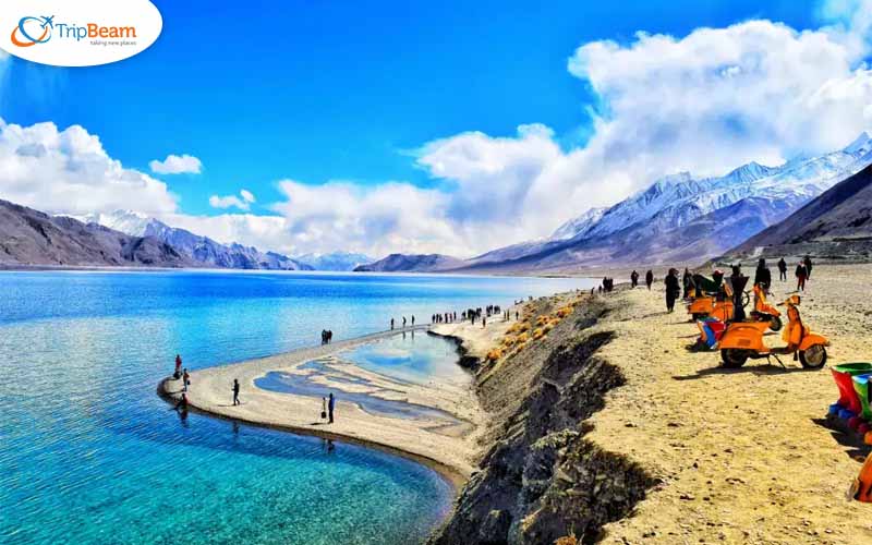 Experience Ladakh for Pangong Lake