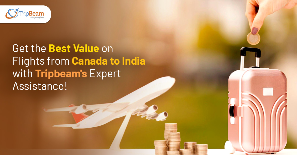 Get the Best Value on Flights from Canada to India with Tripbeam’s Expert Assistance!